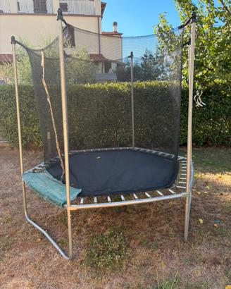 Trampolino elastico