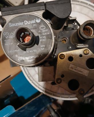 circolartore saunie Duval