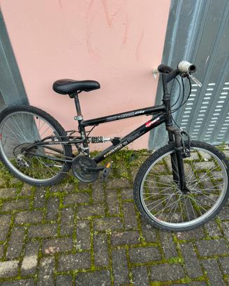 Bicicletta