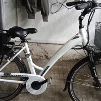 bici elettrica 