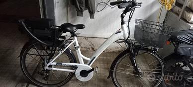 bici elettrica 