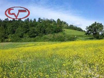 Terreno di 6400 m² a Terranuova Bracciolini