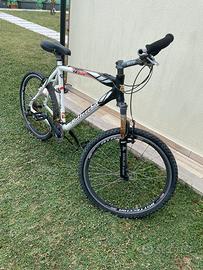 Bottecchia bici