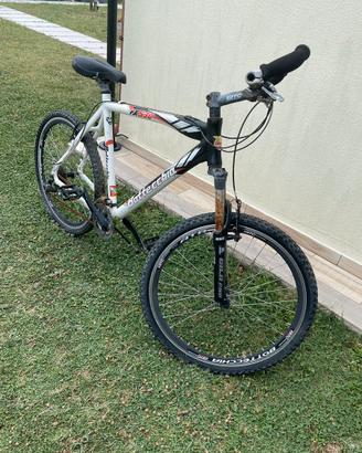 Bottecchia bici