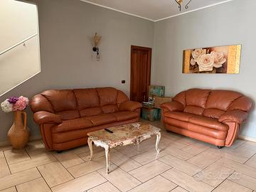 Divani in pelle