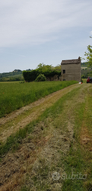 Terreno agricolo con fabbricato
