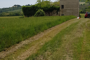 Terreno agricolo con fabbricato