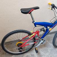 Mountain Bike Esperia Dominators-prezzo trattabile