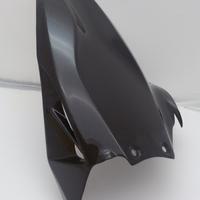 PARAFANGO POSTERIORE CARBONIO LUCIDO DUCATI STREET