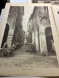 Stampe da collezione