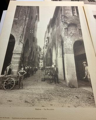 Stampe da collezione