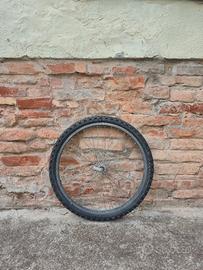 Ruota anteriore 24x1.95