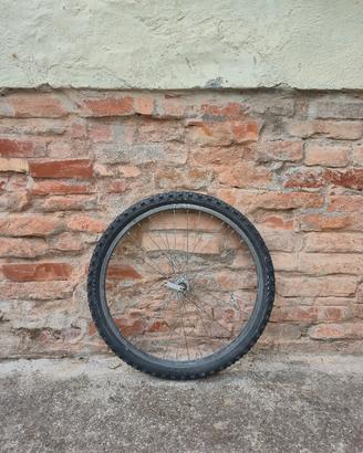 Ruota anteriore 24x1.95