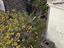Immagine 28