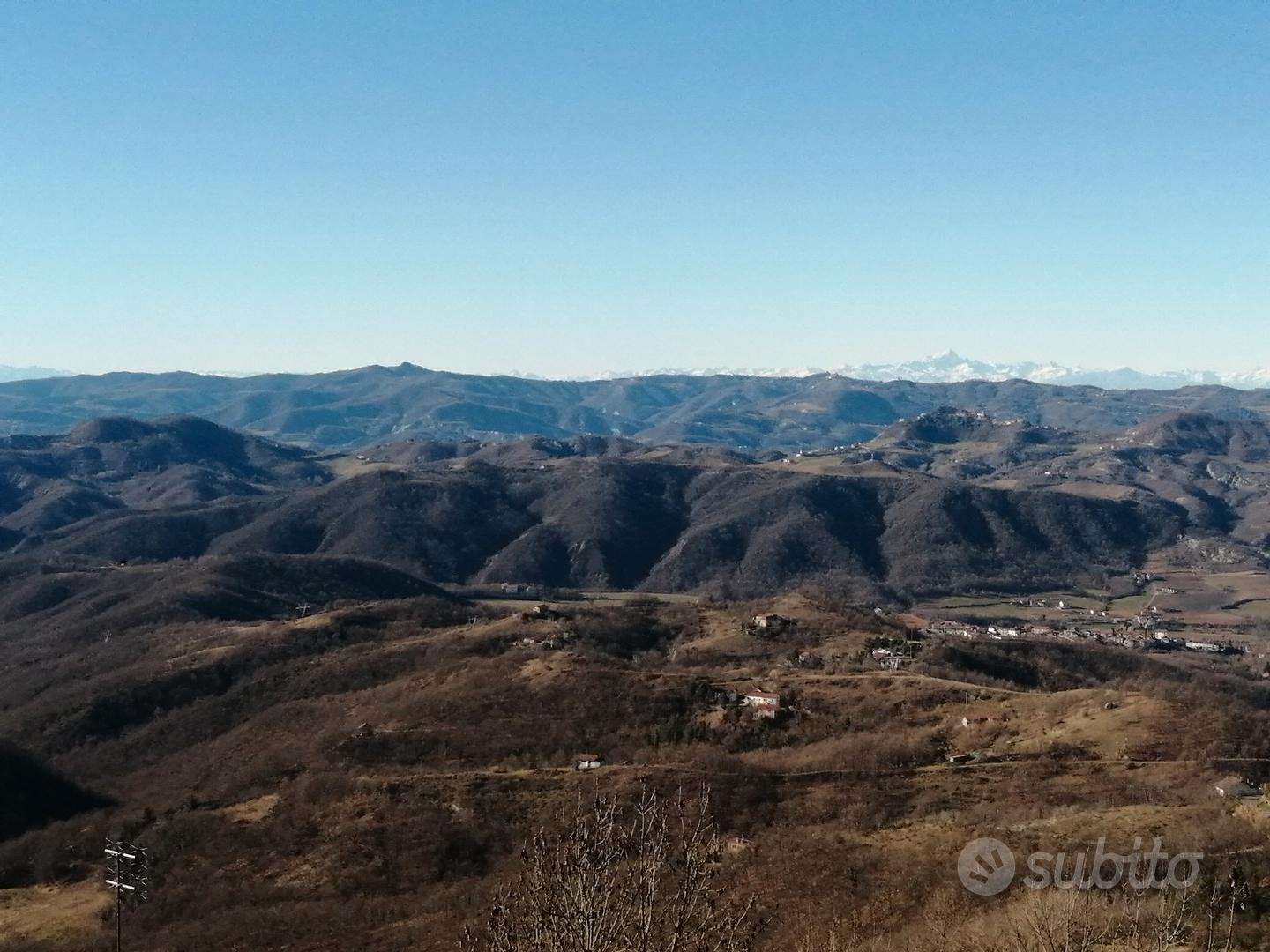 Rustico con 2 ettari coltivati - Altro