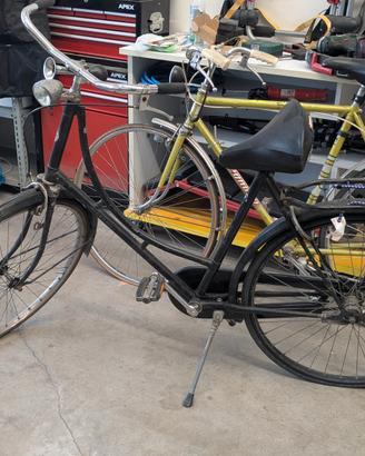 Bici olandese 