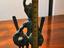 Immagine 5