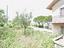 Immagine 11