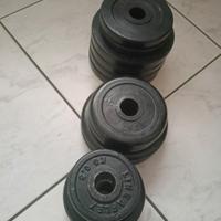 Dischi palestra 28 mm