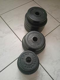 Dischi palestra 28 mm