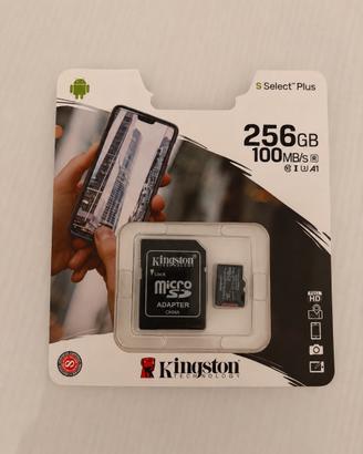 Kingston Micro SD 256Gb + Adattatore