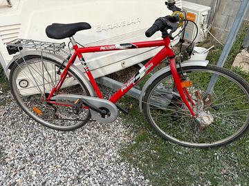Bicicletta uomo