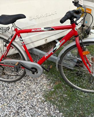 Bicicletta uomo