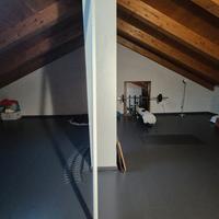 Palo Pole dance THEPOLE