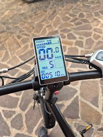 bici elettrica 1000 watt
