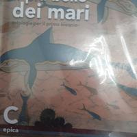 Libro di epica "Il più bello dei mari C" 