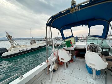 Boston Revenge 21,6 con 2 Evinrude 115 fitch