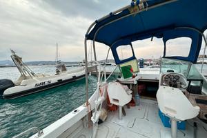 Boston Revenge 21,6 con 2 Evinrude 115 fitch