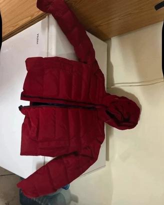 Giubotto Fay junior 14/168