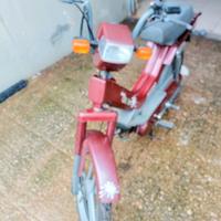 Atala 50cc