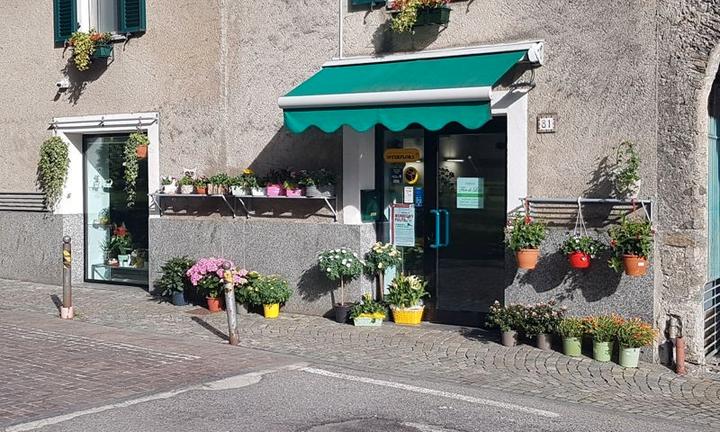 Morbegno cedesi avviata attività di fiorista