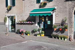 Morbegno cedesi avviata attività di fiorista