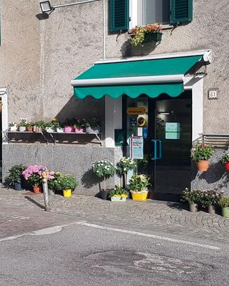 Morbegno cedesi avviata attività di fiorista