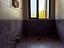 Immagine 19