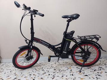 Bicicletta elettrica - E-bike 