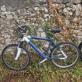 bicicletta rampichino 