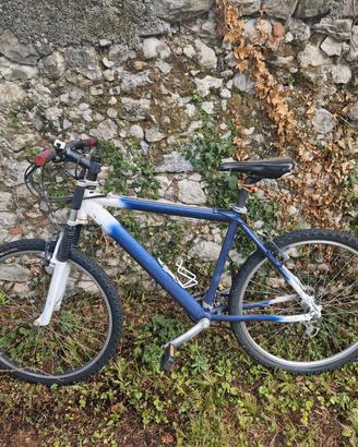 bicicletta rampichino 