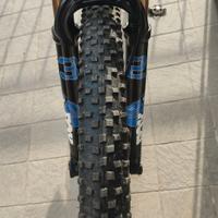 Fox Kashima 32 100 3 posizioni