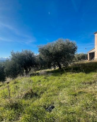 Il Tuo Rifugio Bucolico a Corridonia