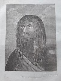 Stampa dai Viaggi di Cook 