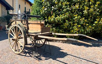 Carrozze per Cavalli carro agricolo Piemontese