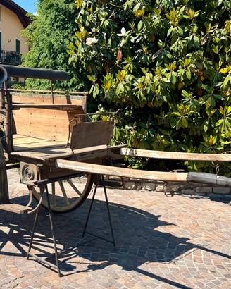 Carrozze per Cavalli carro agricolo Piemontese