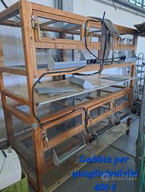 Gabbia per pulcini o quaglie
