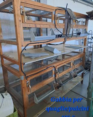 Gabbia per pulcini o quaglie