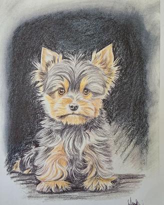 disegni a pastello