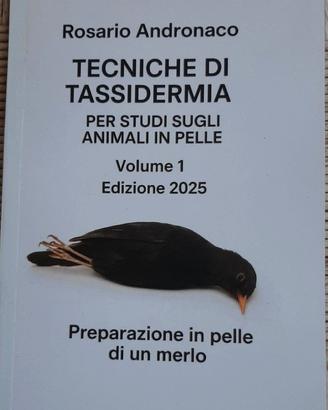 Tassidermia Preparazione in pelle di un merlo